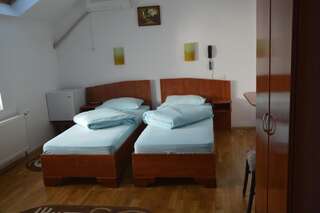 Мотели Motel Buti Сигету-Мармацией Двухместный номер с 2 отдельными кроватями-3